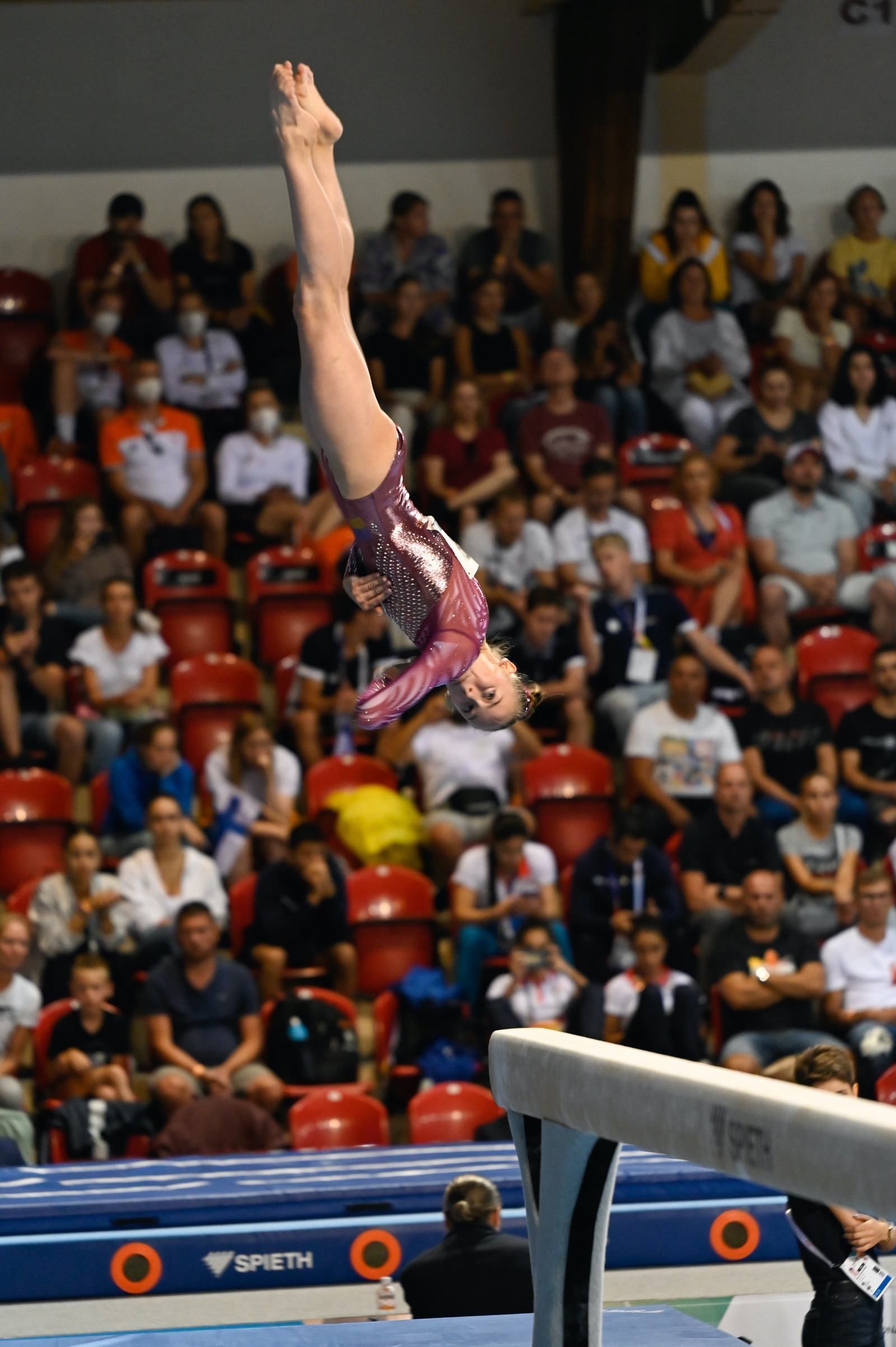 Artistic_gymnastics_002_Stoklasa_RS12308.jpg