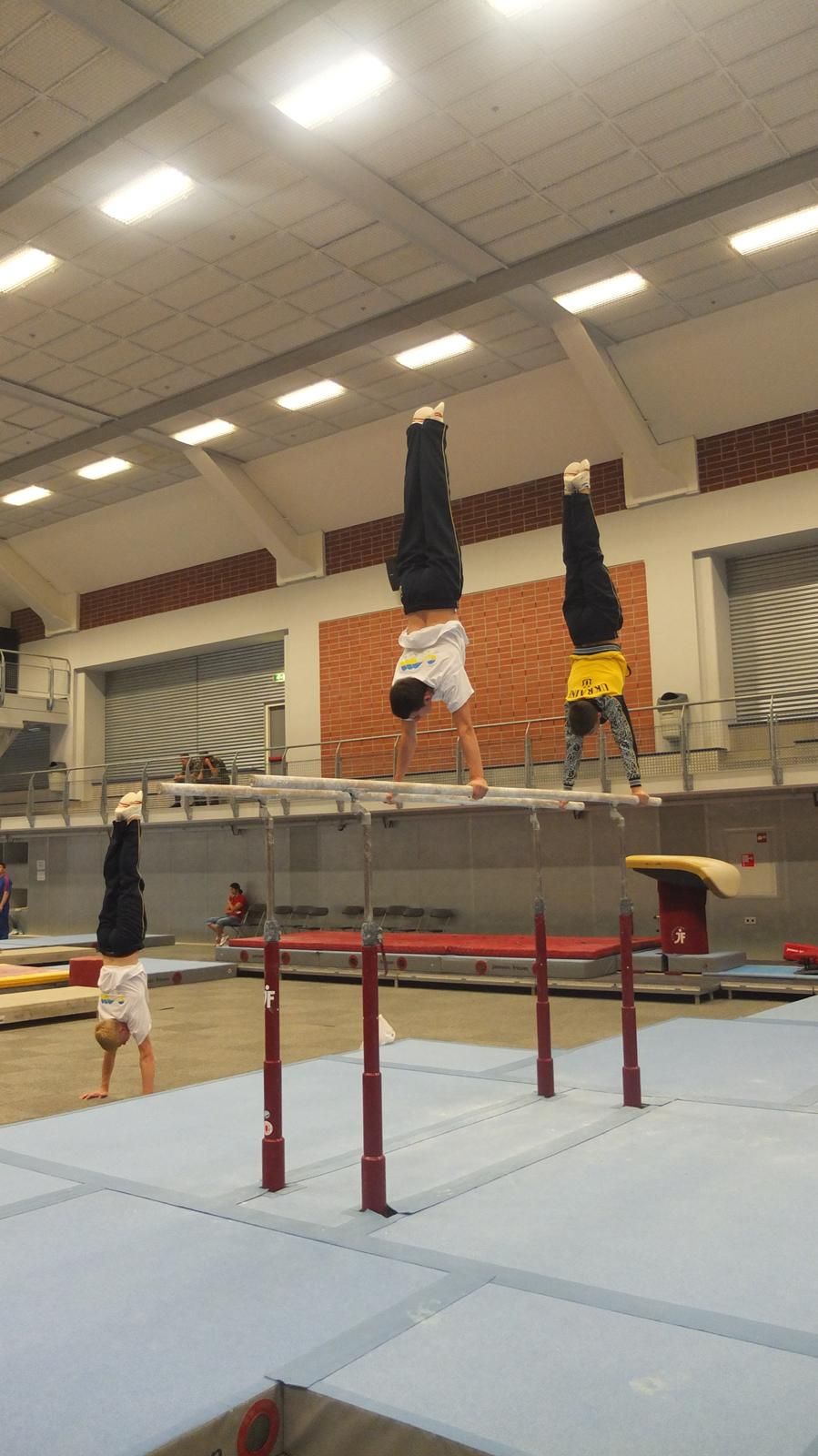 XII ЄЮОФ. Утрехт-2013-10444.jpg