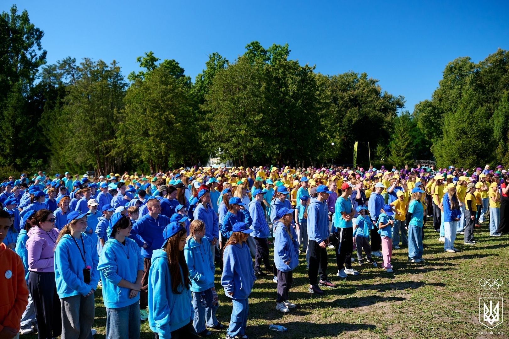 file35.jpg