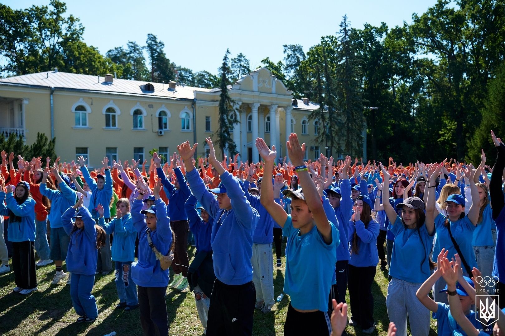 file85.jpg