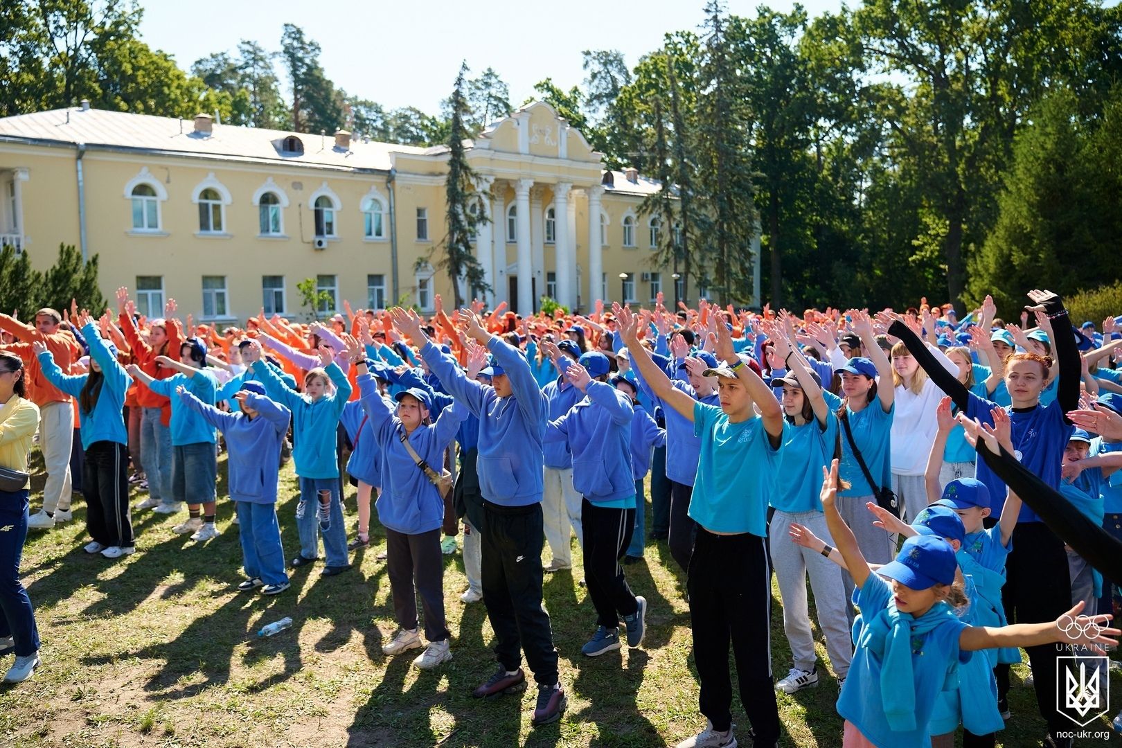 file64.jpg