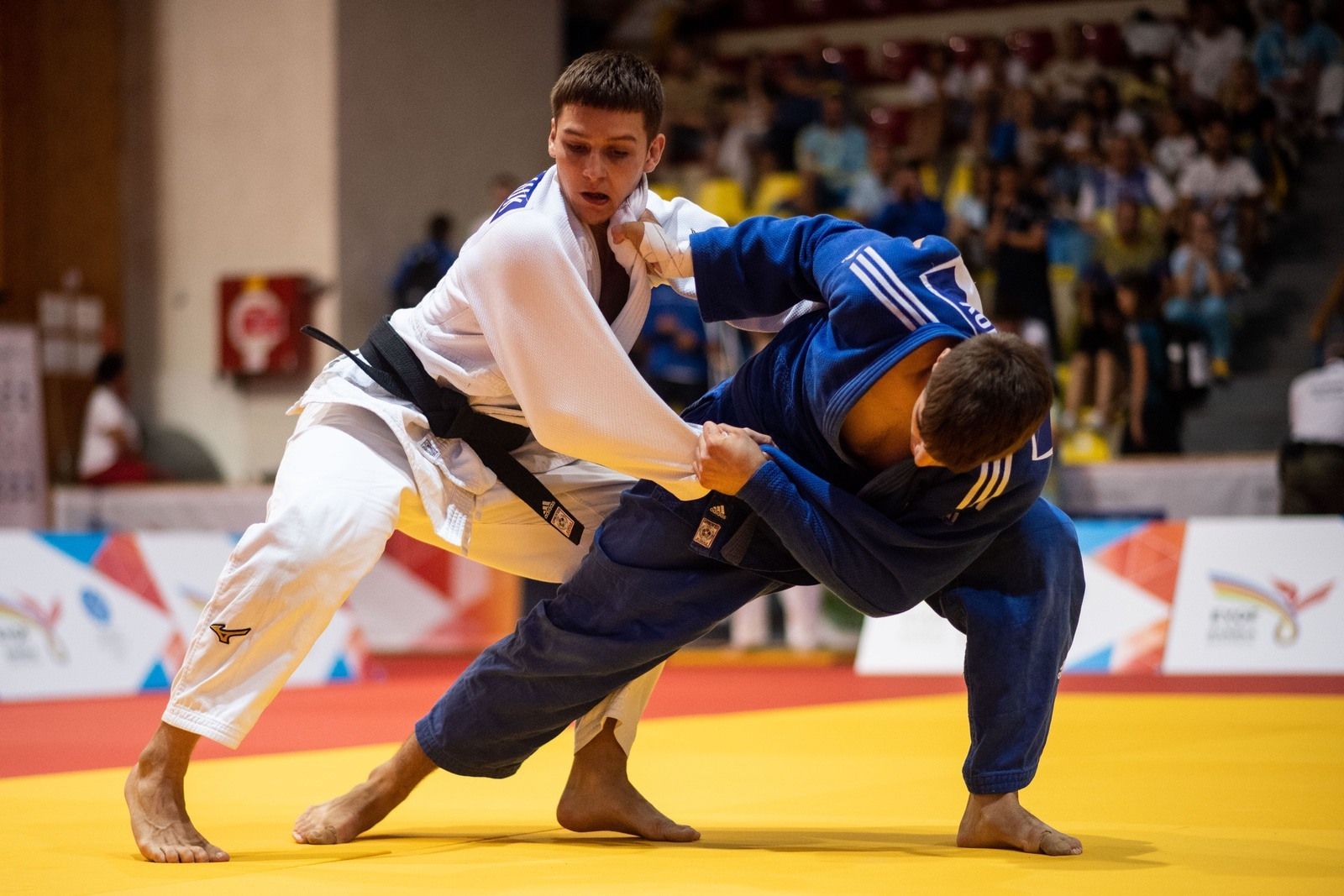 judo_simicek0075.jpg