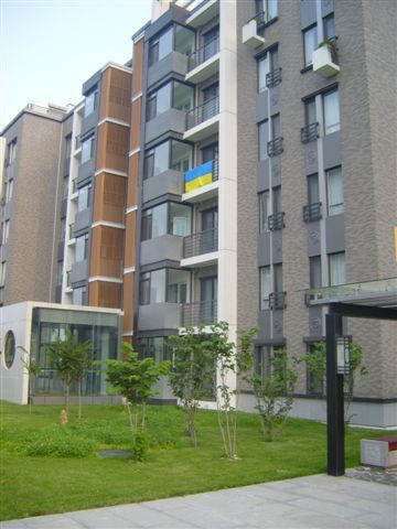 Олімпіада. В очікуванні старта