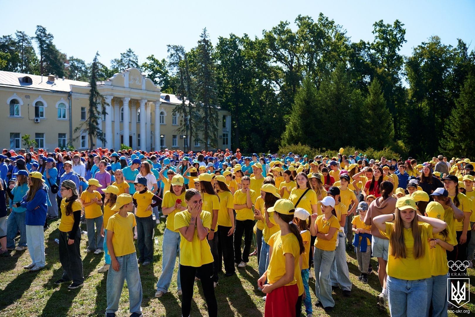 file31.jpg