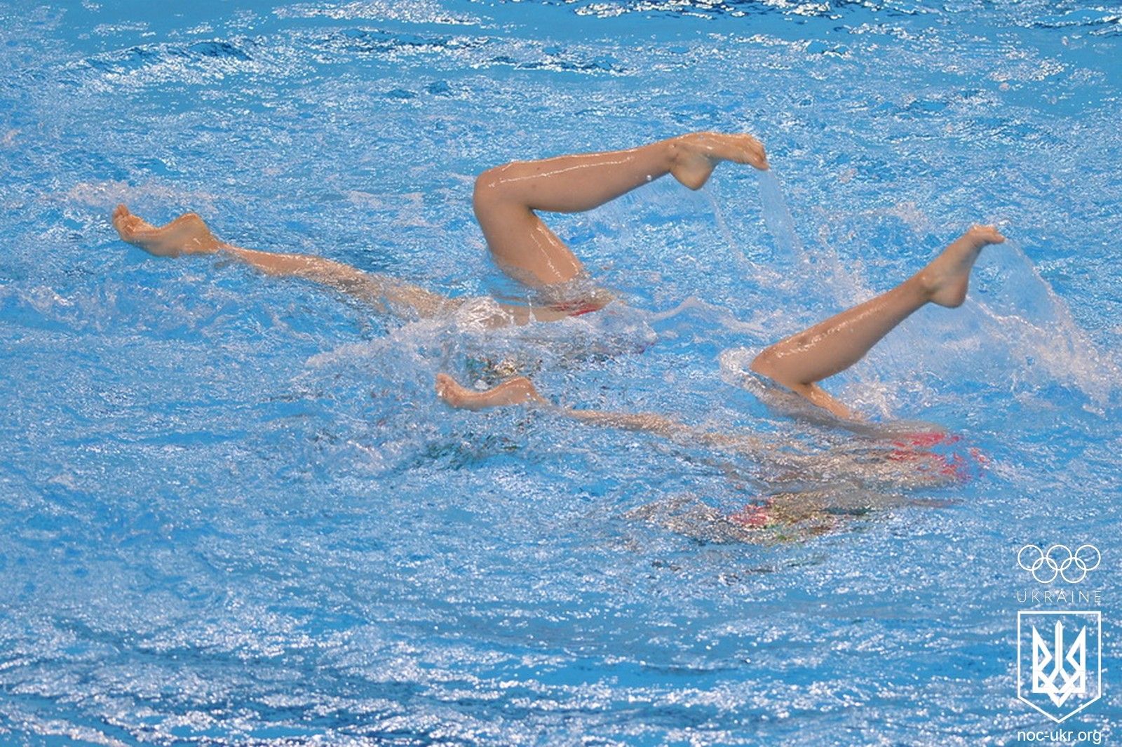 DSC_5780.jpg