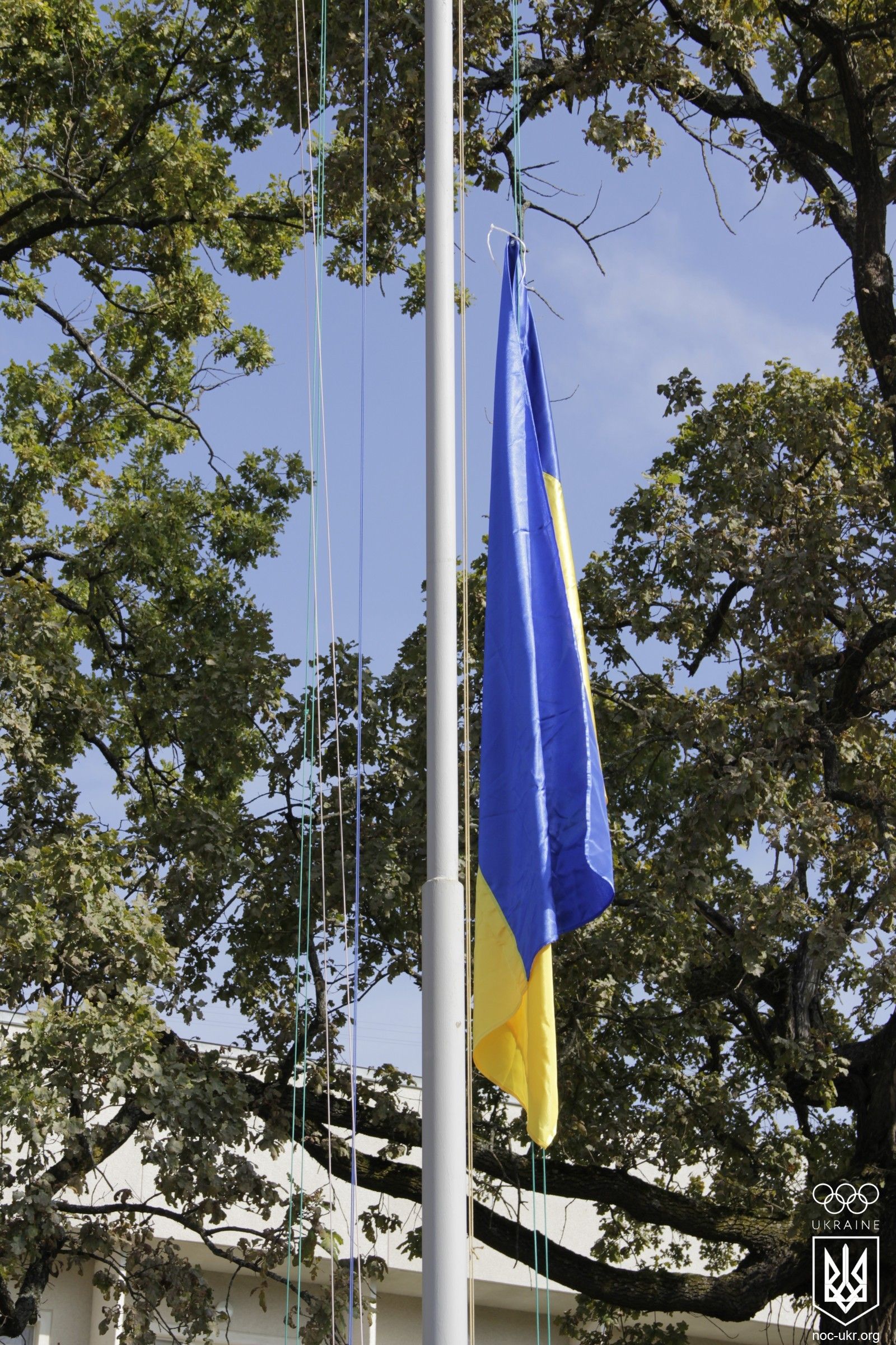 _MG_1785.jpg